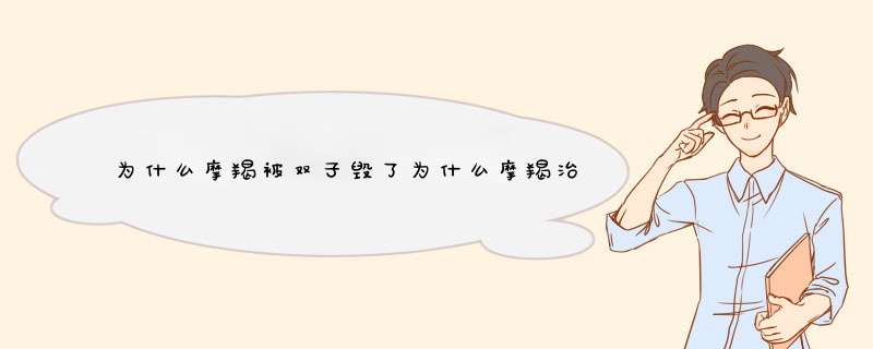 为什么摩羯被双子毁了为什么摩羯治双子一绝？,第1张