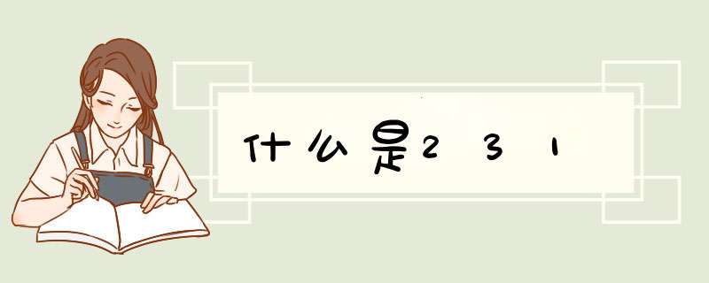 什么是231,第1张