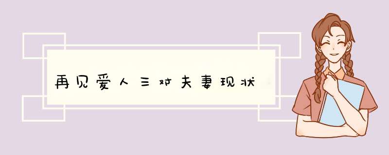 再见爱人三对夫妻现状,第1张