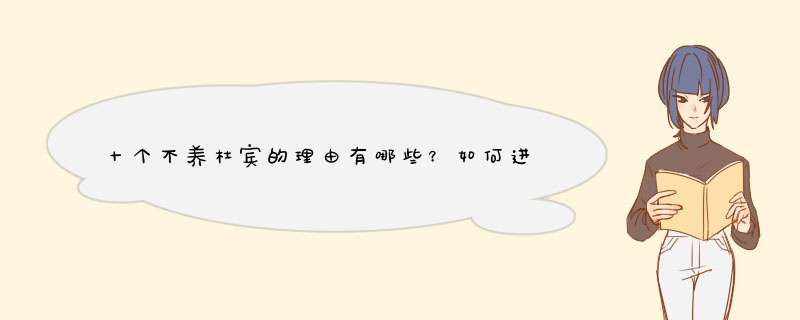 十个不养杜宾的理由有哪些？如何进行喂养最为合适？,第1张