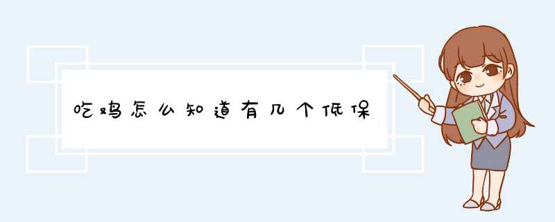 吃鸡怎么知道有几个低保,第1张