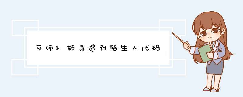 巫师3转身遇到陌生人代码,第1张