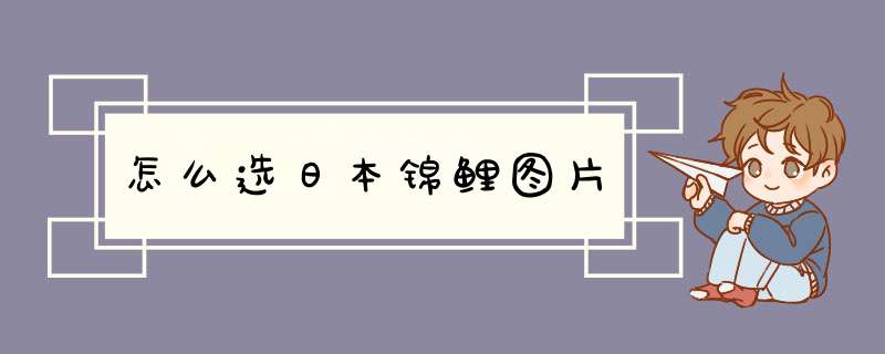 怎么选日本锦鲤图片,第1张