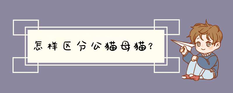 怎样区分公猫母猫？,第1张