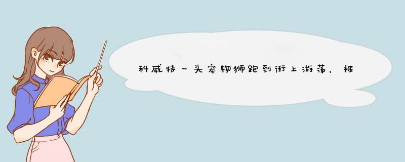 科威特一头宠物狮跑到街上游荡，被主人抱着抓回，狮子可以被驯服吗？,第1张