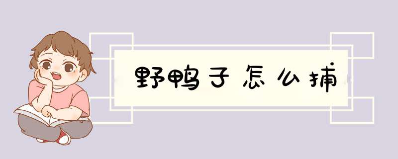 野鸭子怎么捕,第1张