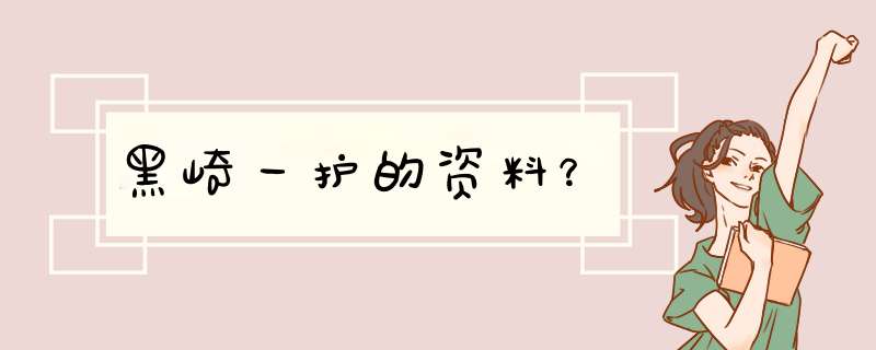 黑崎一护的资料？,第1张