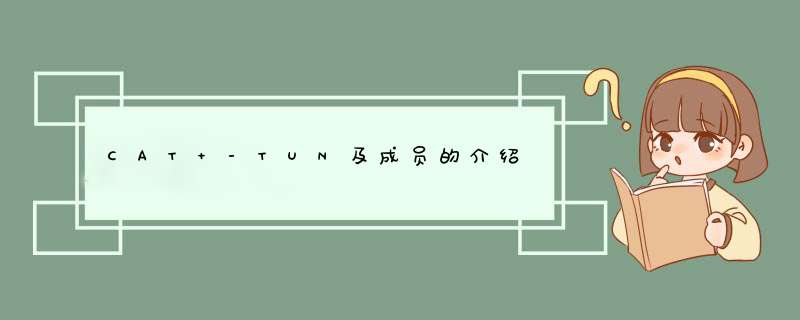 CAT -TUN及成员的介绍,第1张