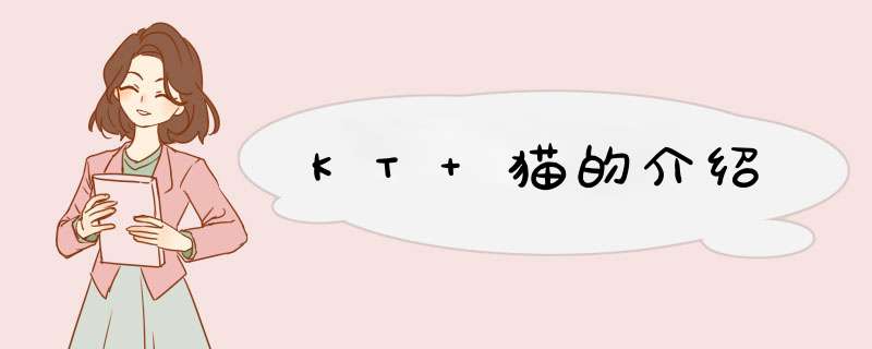 KT 猫的介绍,第1张