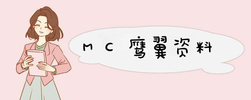 MC鹰翼资料,第1张