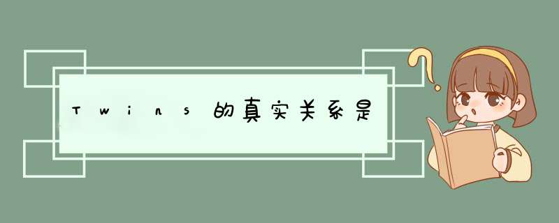 Twins的真实关系是,第1张