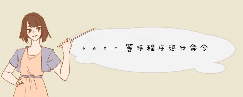 bat 等待程序运行命令,第1张